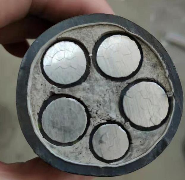 金阳光电线电缆质量检测及解决办法是什么.jpg