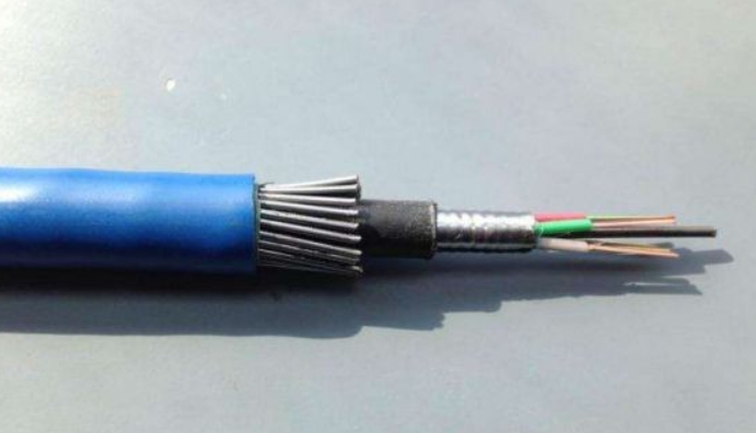 金阳光电线电缆如今有什么新型的渠道.jpg
